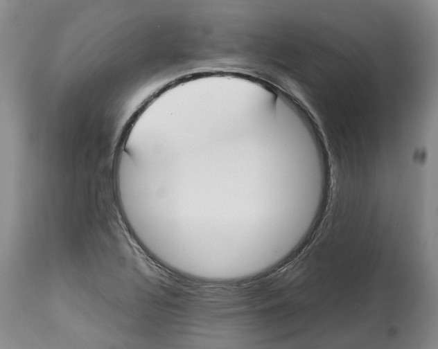 X0000114171320200911051519