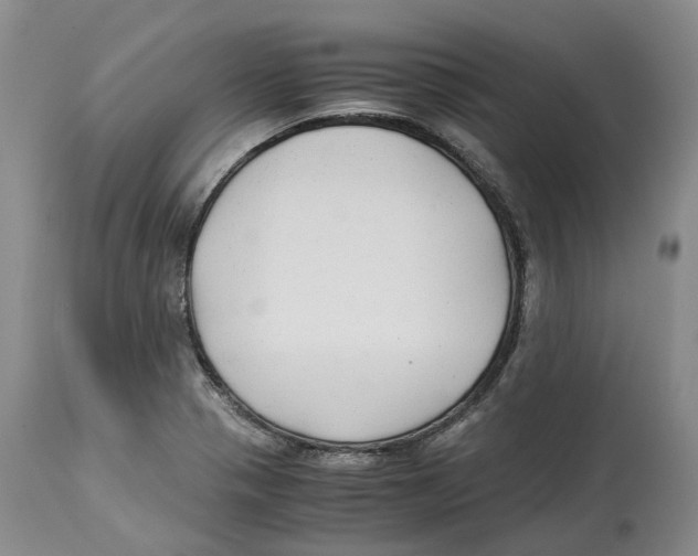 X0000114171321200911051519