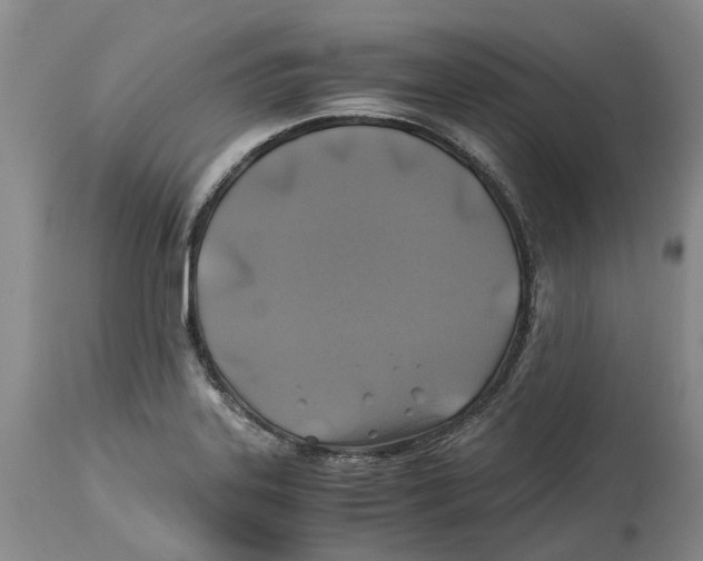 X0000114171323200911051519