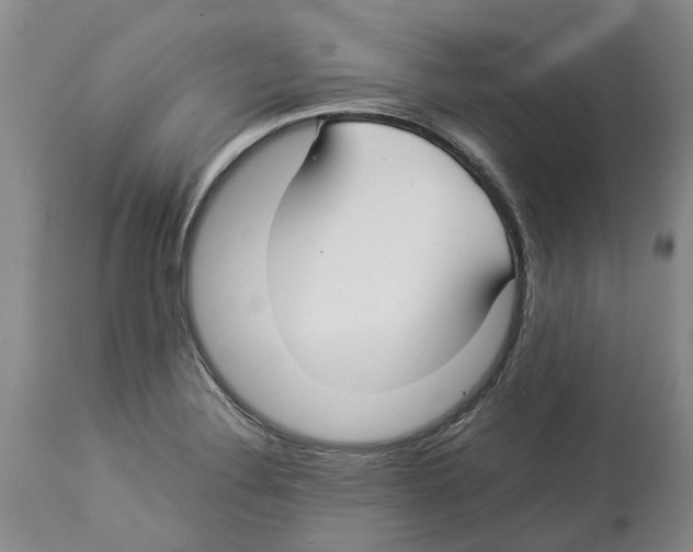 X0000114171324200911051519