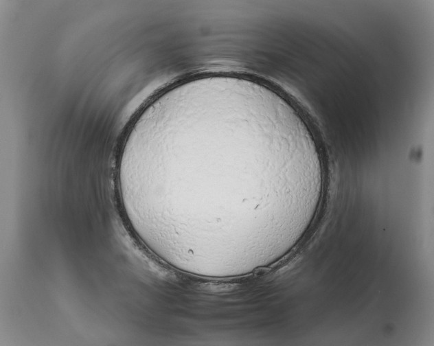 X0000114171325200911051519