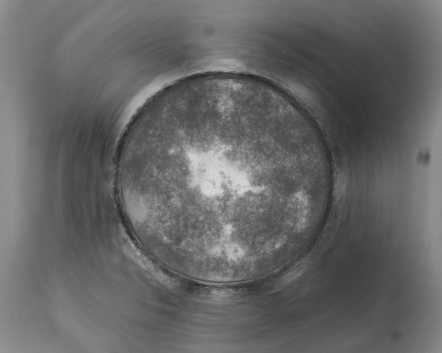 X0000114171326200911051519