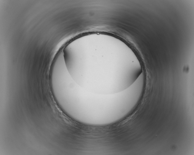 X0000114171328200911051519