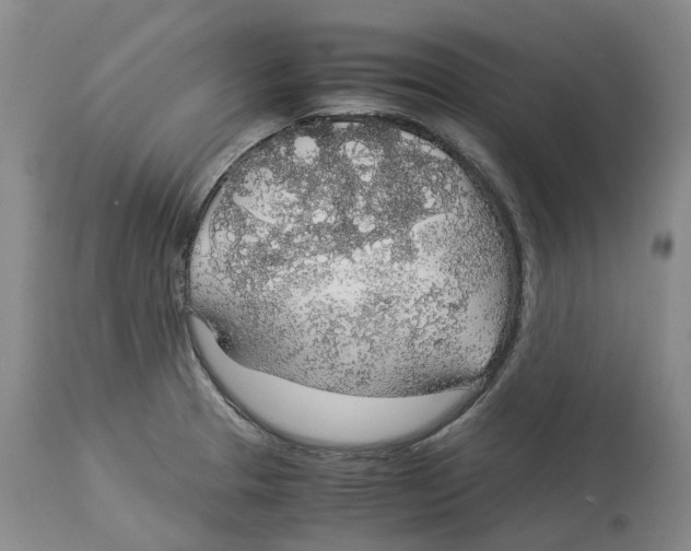 X0000114171329200911051519