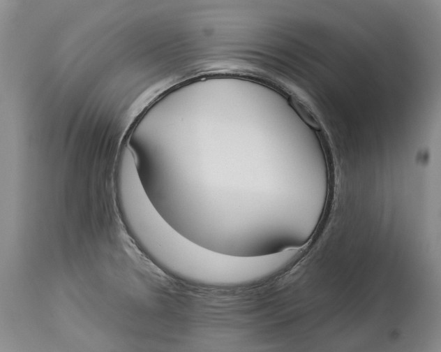 X0000114171330200911051519