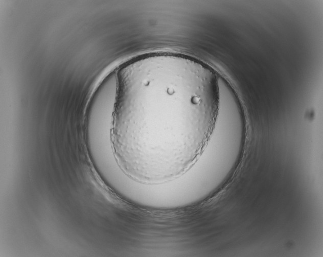 X0000114171332200911051519