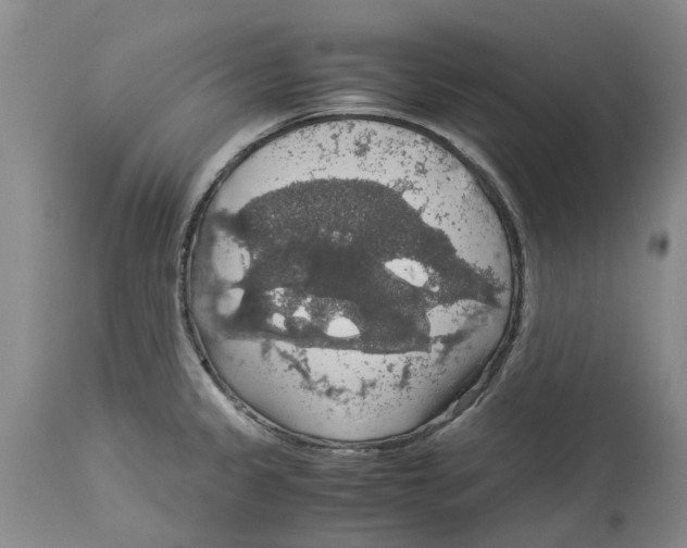 X0000114171333200911051519