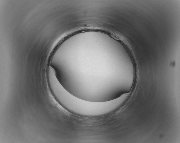 X0000114171334200911051519