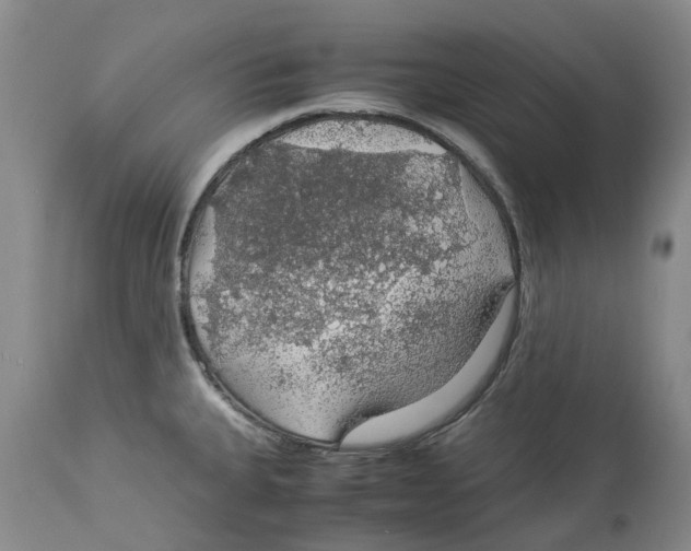 X0000114171335200911051519