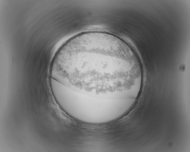 X0000114171336200911051519