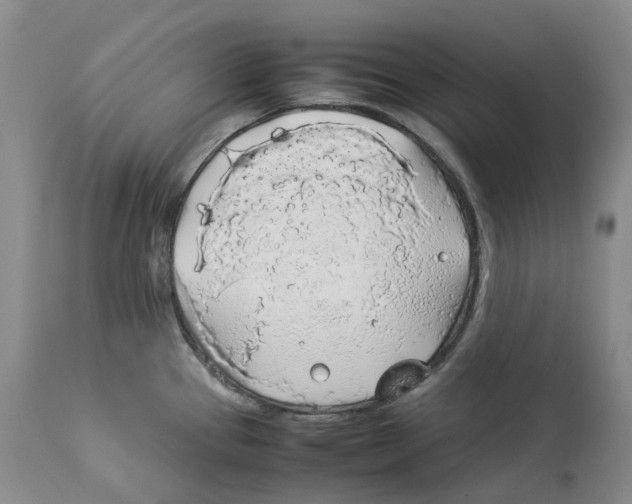 X0000114171337200911051519