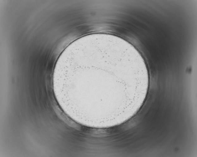 X0000114171338200911051519