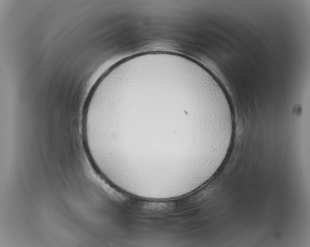 X0000114171339200911051519