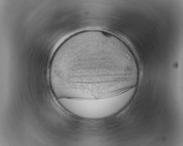 X0000114171340200911051519