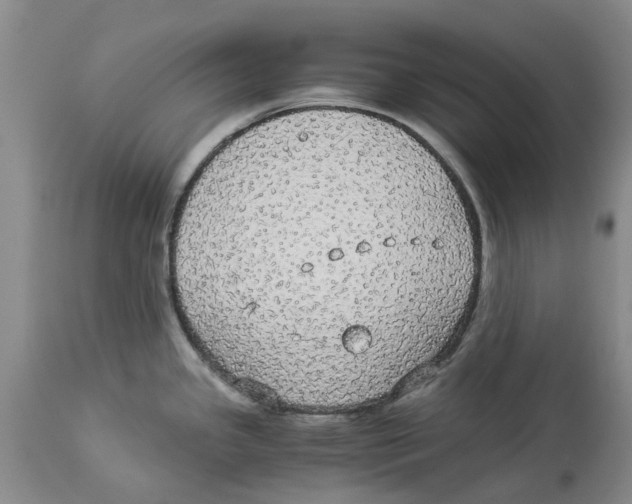 X0000114171341200911051519