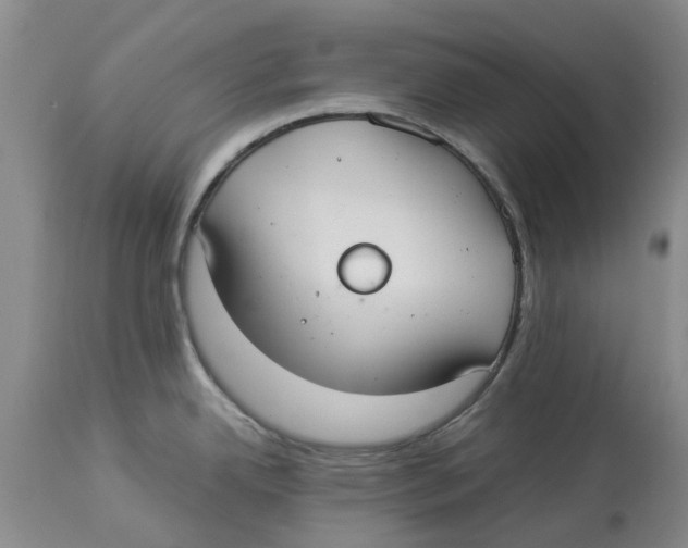 X0000114171342200911051519