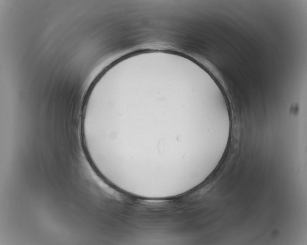 X0000114171343200911051519