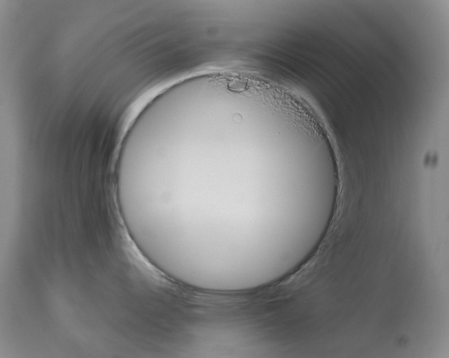 X0000114171344200911051519