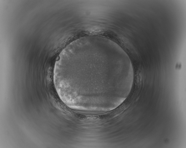 X0000114171346200911051518