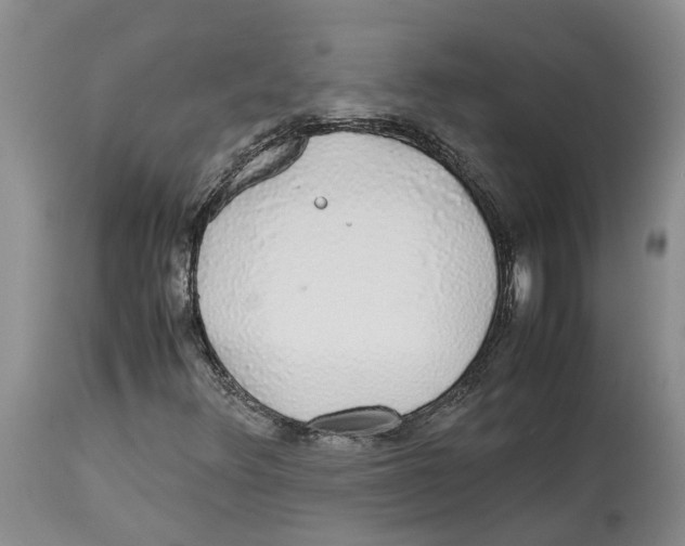 X0000114171348200911051518