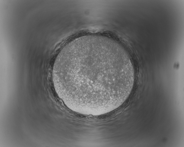 X0000114171349200911051518