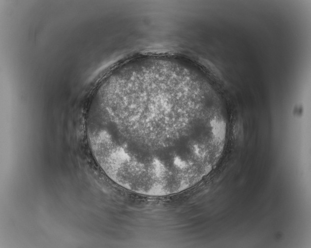 X0000114171350200911051518