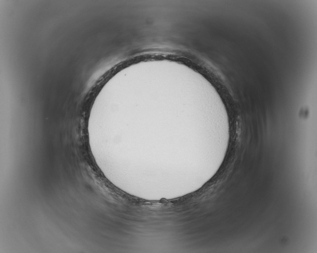 X0000114171352200911051518