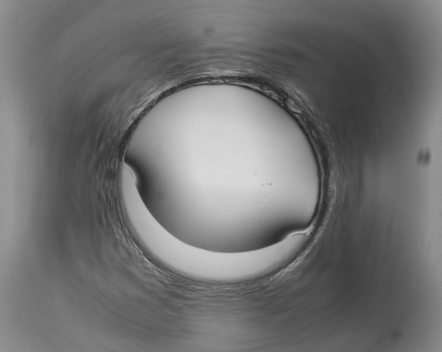 X0000114171353200911051518