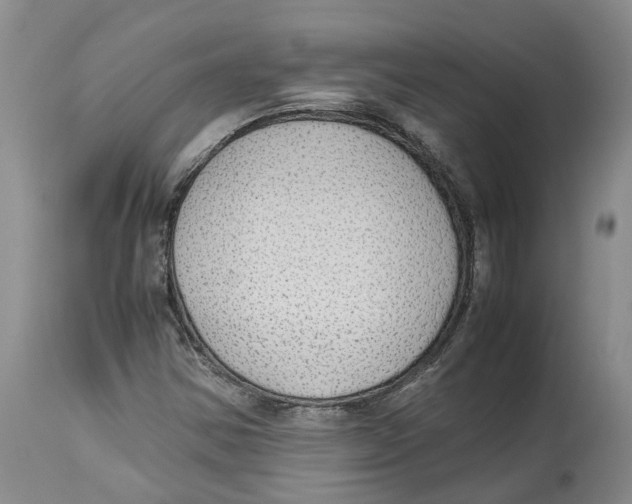 X0000114171354200911051518