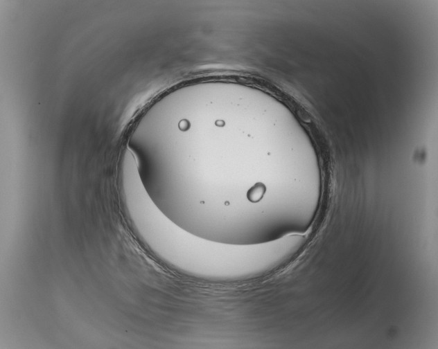 X0000114171357200911051518