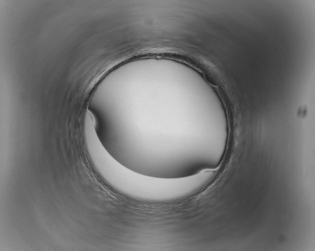 X0000114171361200911051518