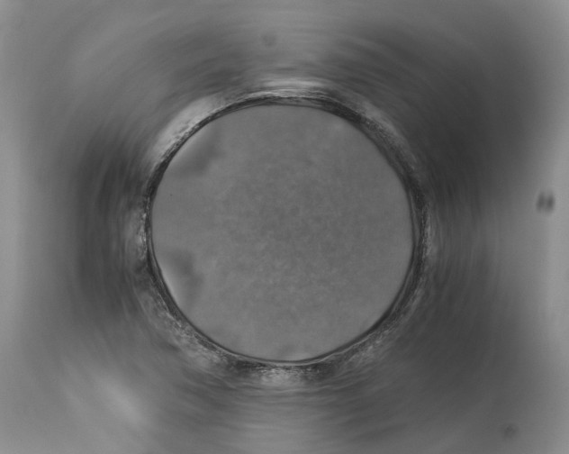 X0000114171362200911051518