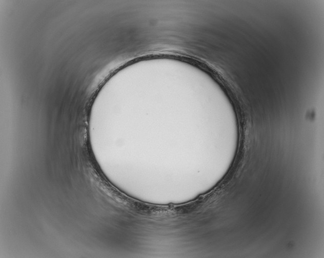 X0000114171363200911051518