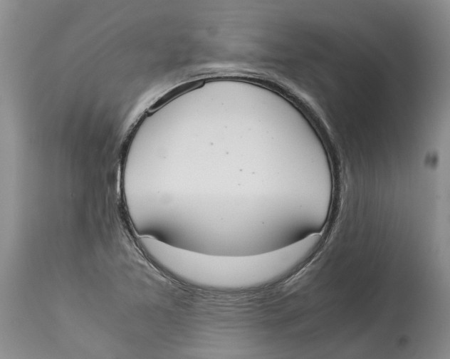 X0000114171365200911051518