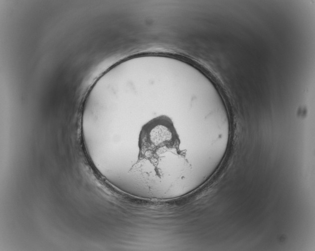 X0000114171367200911051518