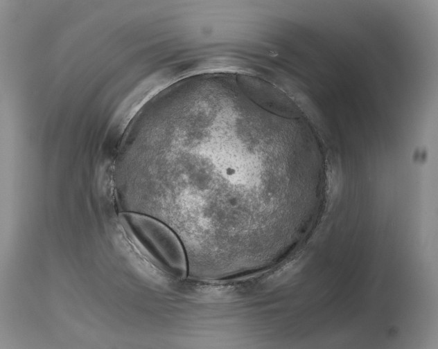 X0000114171369200911051518