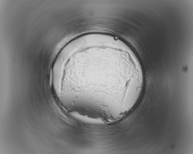 X0000114171371200911051518