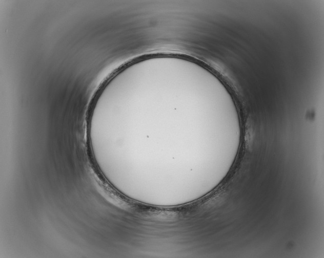 X0000114171372200911051518