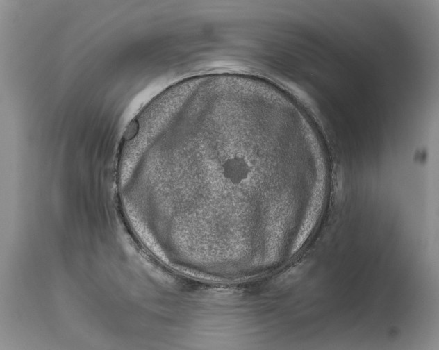 X0000114171373200911051518