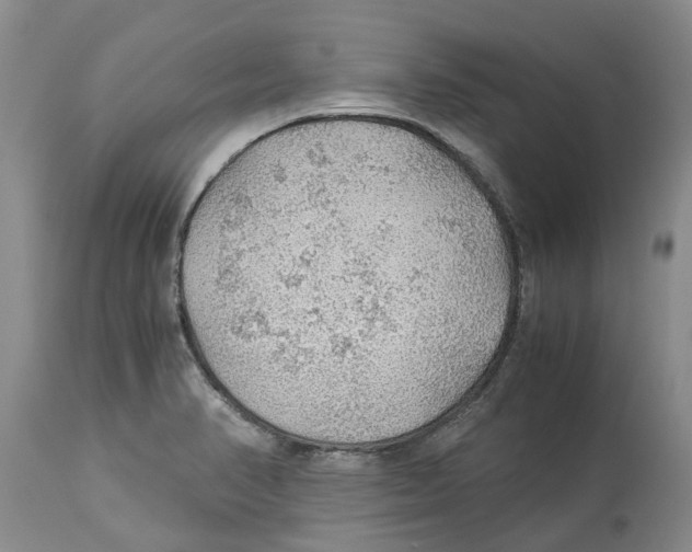 X0000114171374200911051518