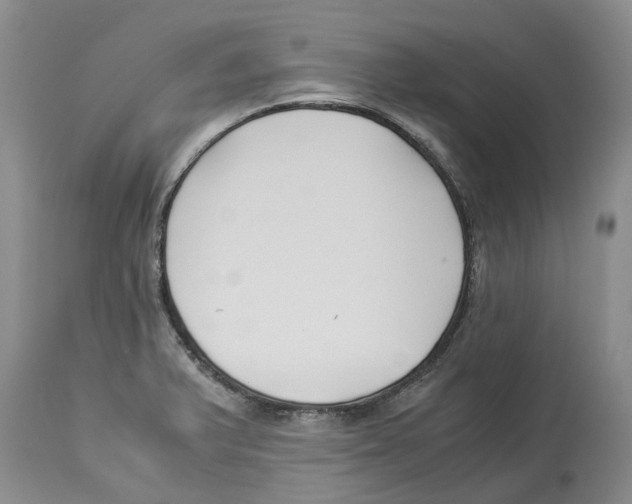 X0000114171375200911051518