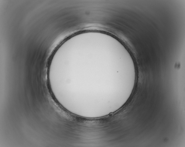 X0000114171376200911051518