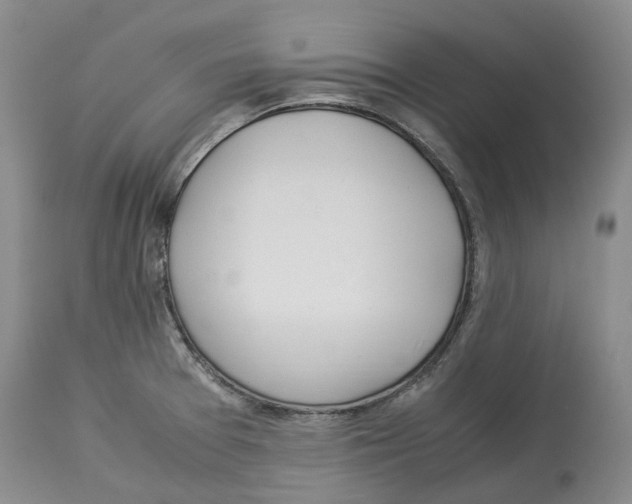 X0000114171377200911051518