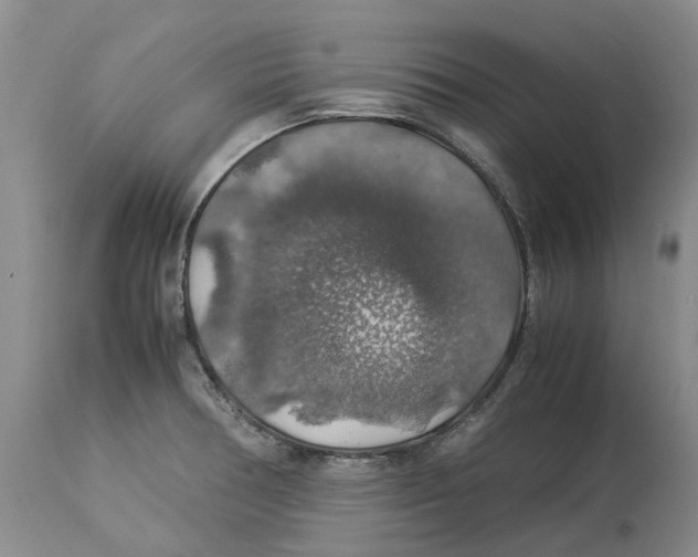 X0000114171378200911051518