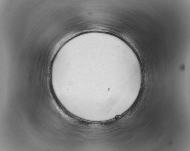 X0000114171379200911051518