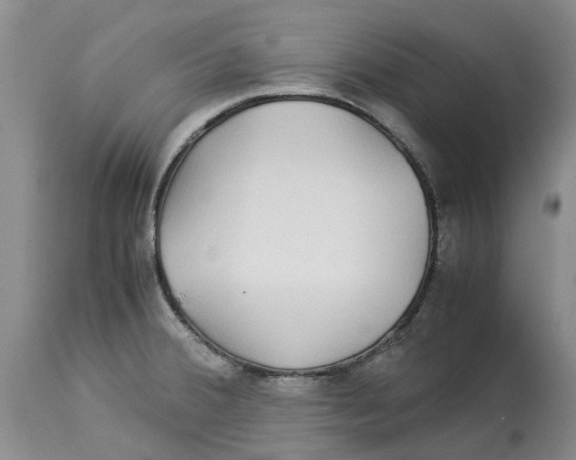 X0000114171380200911051518