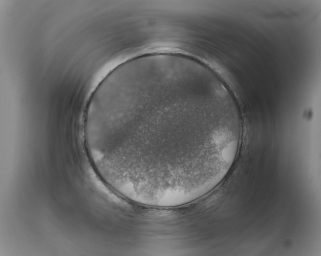 X0000114171382200911051518