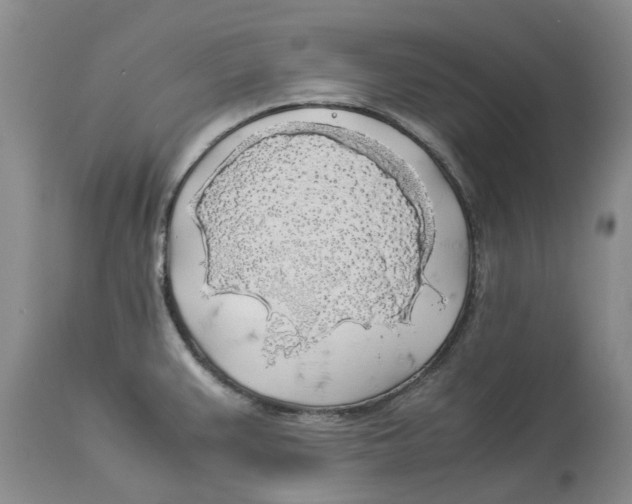 X0000114171383200911051518