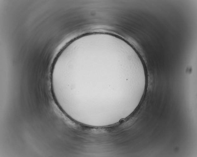 X0000114171384200911051518