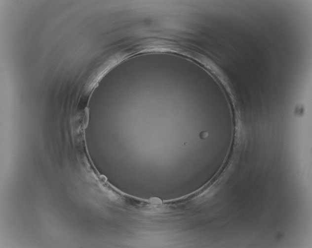 X0000114171385200911051518